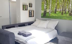 Super Studio Cosy - A 10 Min De Cdg Aeroport - A 30 Min De Paris - A 10 Min Du Salon D'Expo Villepinte